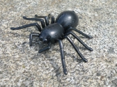 RC pavouk