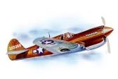 P - 40 Warhawk (711mm) laser.vyrezávaný