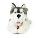 Rappa Plyšový pes husky s obojkom ležiaci 60 cm ECO-FRIENDLYRappa Plyšový pes husky s obojkom ležiaci 60 cm ECO-FRIENDLY