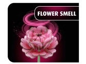 REVELL Flowers 00632 - Flower Garden