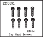 Cap Head Screw M3*14 (8)