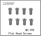 Flat Head Screw M2.5*8 (8)
