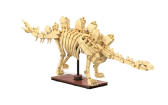 Stegosaurus | RCprofi.sk