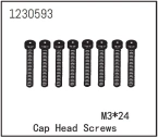 Cap Head Screw M3*24 (8)