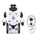 RC robot segway KidBe