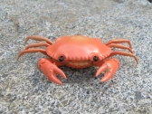 Krab na diaľkové ovládanie, oranžová