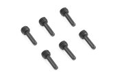 Červy s kolíkom M4x10mm (6ks)
