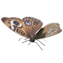 Luxusní ocelová stavebnice Butterfly Buckeye