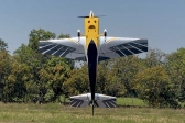103" Raven (2,62m) 120cc Žlutá-Šedá