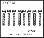 1230654 - Cap Head Screws M4*35 (8)