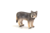 Mojo Vlk mládě