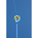 Mini šarkan Plane