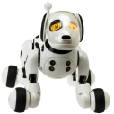 BAZÁR – RC Robopes, čierna