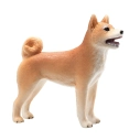 Mojo Pes shiba-inu