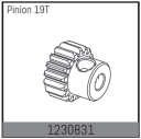 1230831 – Pastorok motora 19T