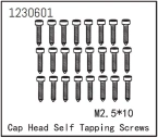 Self-tapping Cap Screw M2.5*12 (24)