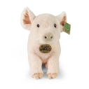 Rappa Plyšové prasa 28 cm ECO-FRIENDLY PLUSH WORLD