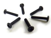 Skrutka s poľogulatou hlavou 3x16 mm (6 pcs)