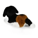 Rappa Plyšový pes bernský salašnický 22 cm ECO-FRIENDLY PLUSH WORLD