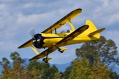85" Muscle Bipe - žlto-čierna 2,16m