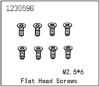 Flat Head Screw M2.5*6 (8)