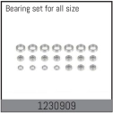 1230909 - Complete Bearing Set