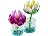 LEGO Botanicals - Lekníny