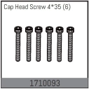 Cap Head Screw 4*35 (6)