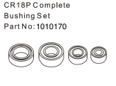 HBP240308 - (1010170) Complete Bushing Set - EVO 1:18