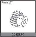 1230830 – Pastorok motora 17T