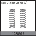 1230919 - Rear Damper Spring (2)