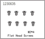 Flat Head Screw M2*4 (8)