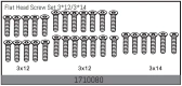 Flat Head Screw Set 3*12/3*14