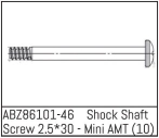 ABZ86101-46 - Shock Shaft Screw 2.5*30 - Mini AMT (10)