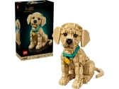 LEGO Icons - Štěně zlatého retrívra