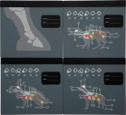 small foot Plyšový králíček s pečovatelskou veterinární sadou