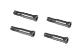 M4 MAX skrutka M2x10,5 mm