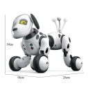 RC Robopes, čierna