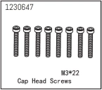 1230647 - Cap Head Screws M3*22 (8)