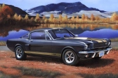 Revell Shelby Mustang GT 350 H (1:24)