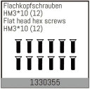 HM3*10mm Flat Hex Screw 12PCS