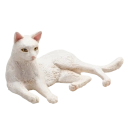 Mojo Kočka bílá ležící
