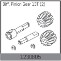 1230805 - Differential Gear 13T (2)