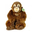 Rappa Plyšová opica orangutan 27 cm ECO-FRIENDLY