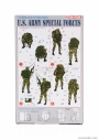 Dragon armor Accessories Usa Army Special Forces Military Figures 1:35 /