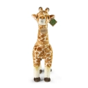 Rappa Plyšová žirafa 42 cm ECO-FRIENDLY
