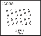Piny 2,5×10 (12)