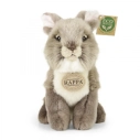 Rappa Plyšový zajíc 20 cm ECO-FRIENDLY