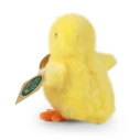 Rappa Plyšové kuriatko 10 cm ECO-FRIENDLY