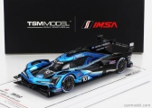 Truescale Acura Arx-06 Gtp 2.4l Twin Turbo V6 Team Wayne Taylor Racing Andretti N 10 Imsa 24h Daytona 2024 Filipe Albuquerque - Ricky Taylor - Brendon Hartley - Marcus Ericsson 1:43 Modrá Černá